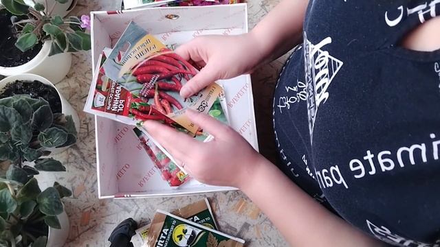 ДАЧА НА СЕВЕРЕ // ГОТОВЛЮСЬ К СЕЗОНУ// ОБЗОР СЕМЯН// ГРУНТ ИЗ СВЕТОФОРА смотреть онлайн