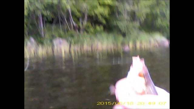 Рыбалка. Рыбалка 2015 июнь.Зачетная красноперка. смотреть онлайн