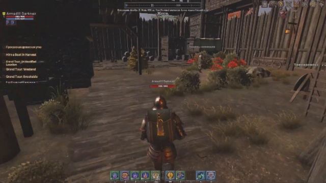 Shroud Of The Avatar - Доспех Отваги