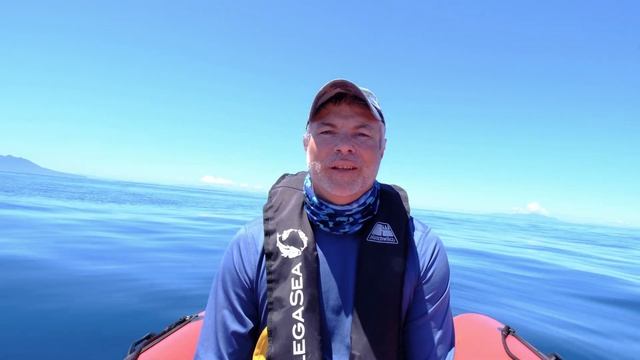 How to Stickbait for Kingfish - which rods, reels, line, knots, stickbaits смотреть онлайн