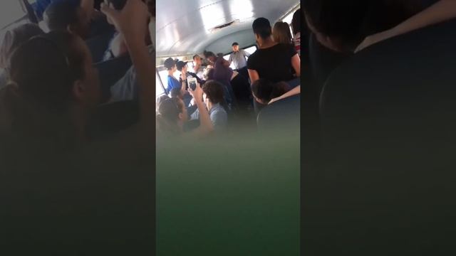 School Bus Fight смотреть онлайн