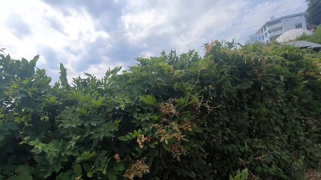 Участок на Ахуне с Видом на Море! смотреть онлайн