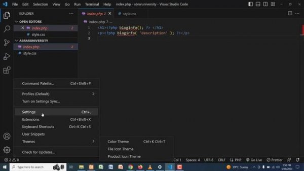VScode Settings for WordPress Theme Development
