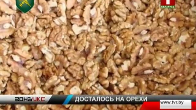 Крупная контрабанда на полмиллиона рублей! Зона Х смотреть онлайн