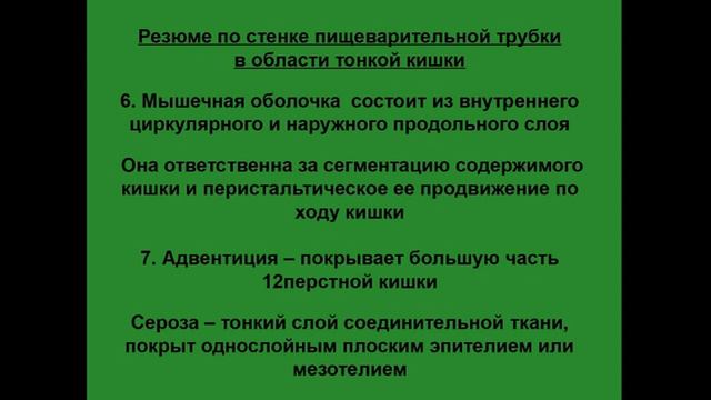 Тонкая кишка. Гистологическое строение. Особенности строения стенки