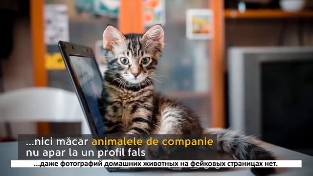 Фейковые страницы: как обезопасить себя от них смотреть онлайн