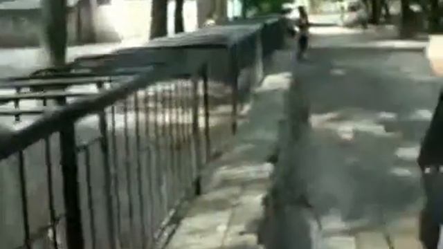 СМЕШНОЕ ВИДЕО: К чему приводит не свежее дыхание? смотреть онлайн