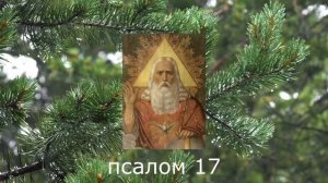 ЛУЧШЕЕ ВРЕМЯ ОТПРАВИТЬ ПОРЧУ ОБРАТНО