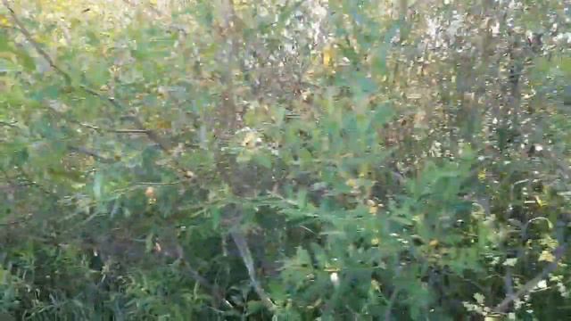 Пинеры. Чувашия смотреть онлайн