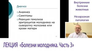 Болезни Молодняка. Часть 3. Гипогликемия, Анемия, Беломышечная Болезнь, Атаксия, Тимпания