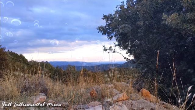 Bach Classical Music For Studying | Relaxing Cello Music | Study Music For Reading