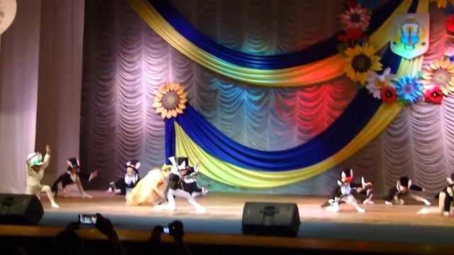 Кролики из сказки Алисы _ Божья коровка /июнь 2016 смотреть онлайн