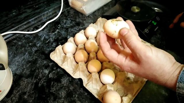 Сортировка инкубационного яйца! смотреть онлайн