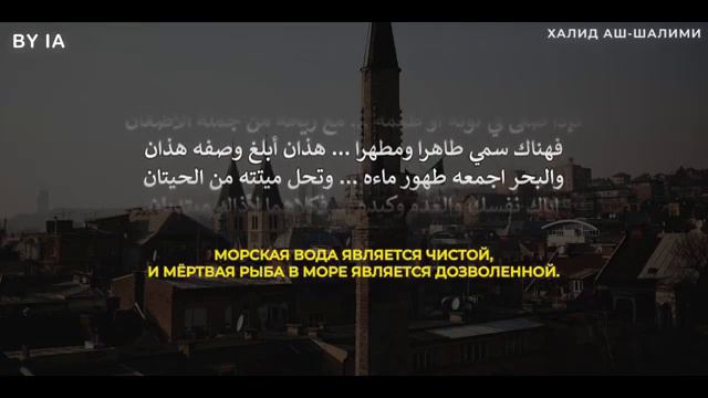 Поэма "Нуния" - Абу Мухаммад аль-Кахтани смотреть онлайн