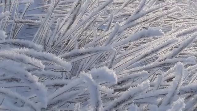 Колядки на Рождество show0 смотреть онлайн