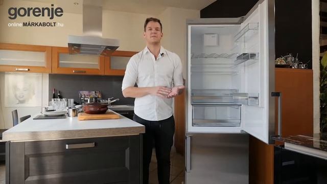 GORENJE RK6192LX | alulfagyasztós hűtőszekrény bemutató videó смотреть онлайн