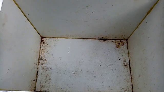 Термо ящик! смотреть онлайн