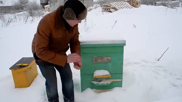 Канди для пчел Приготовление канди Подкормка пчел смотреть онлайн