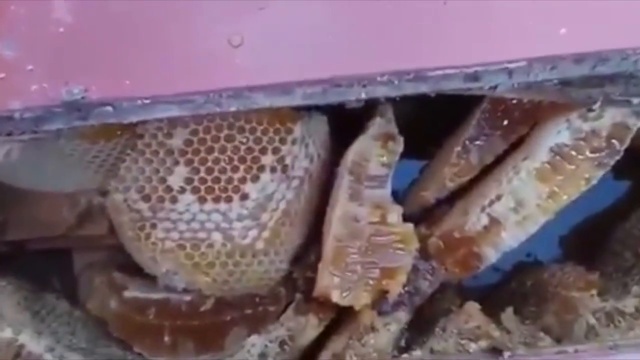 балкон с офигительным сюрпризом смотреть онлайн