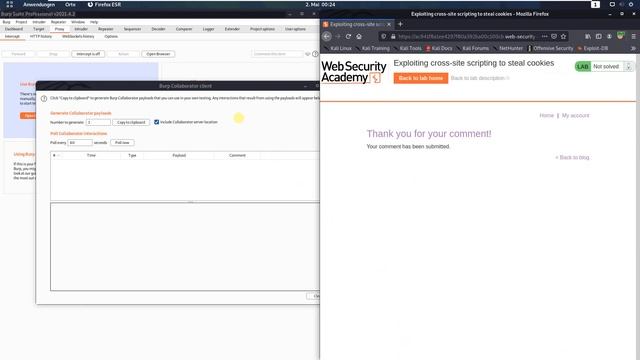 Exploiting cross-site scripting to steal cookies (Video solution, Audio) смотреть онлайн