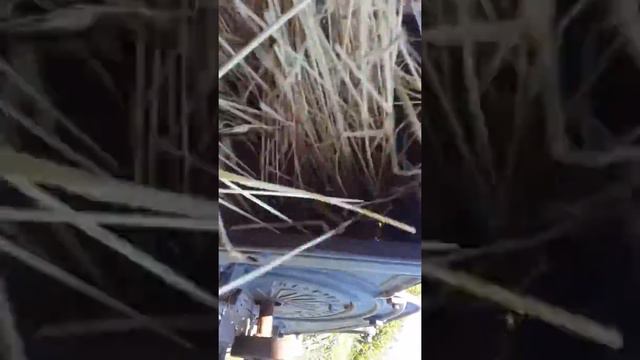 Trebbiatrice antica смотреть онлайн