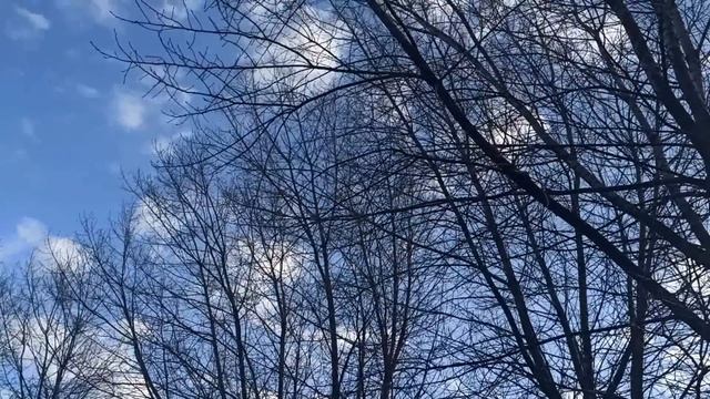 21 марта народный праздник Весенний Солнцеворот. День равен ночи. Народные приметы и традиции. смотреть онлайн