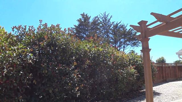 Как нынче с ветром? смотреть онлайн