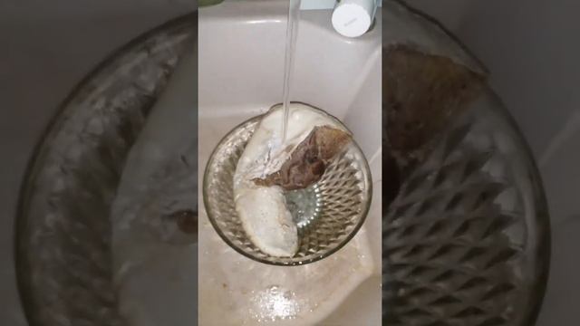 как правильно варить язык ГОВЯЖИЙ или СВИНОЙ. смотреть онлайн