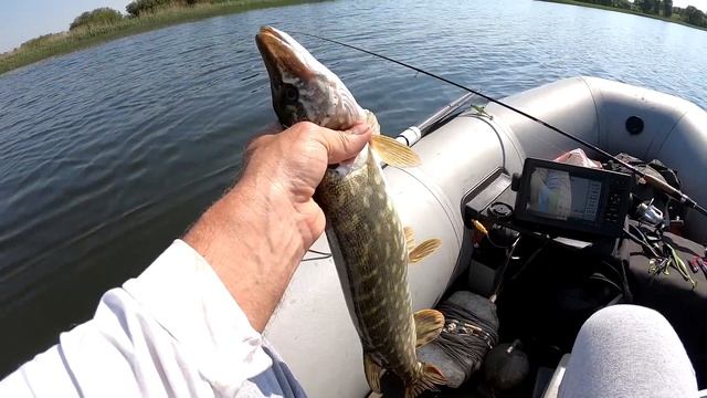 Щука просто изголодалась.Берёт на Всё!!! Рыбалка с лодки . Ловля щуки в июне 2020 .Рыбалка на щуку. смотреть онлайн