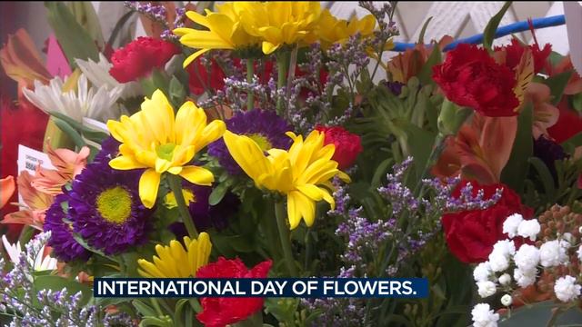 City passes ordinance to shed light on flower farming practices смотреть онлайн