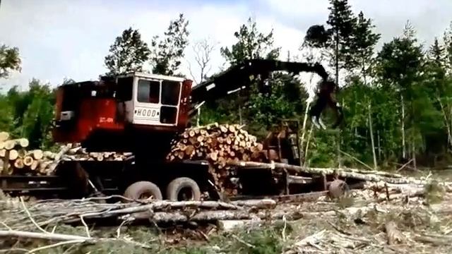 Slashing timber смотреть онлайн