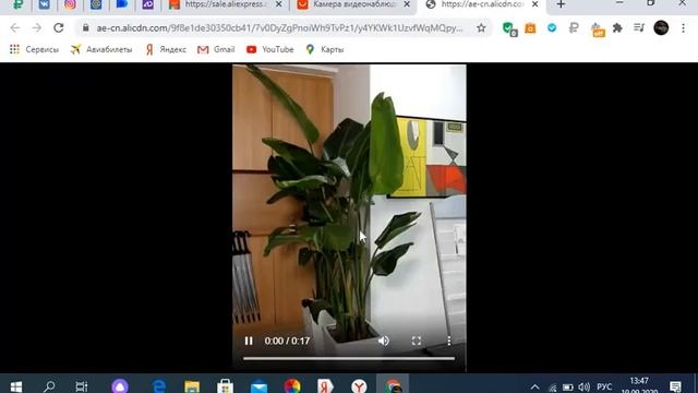 Как скачать видео с алиэкспресс(aliexpress)? смотреть онлайн