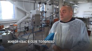 Производство живого кваса появилось в Хабаровском районе