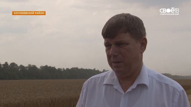 Рекордный урожай кочубеевских хлеборобов смотреть онлайн