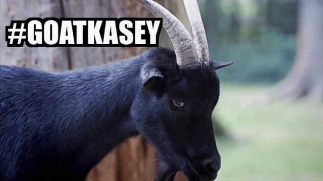 Fathers Day Show Special смотреть онлайн