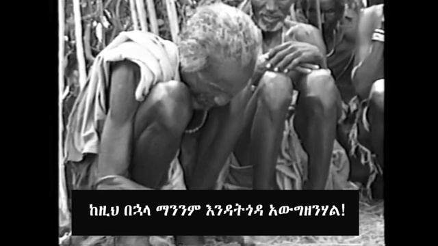 Peace film Amharic summary смотреть онлайн