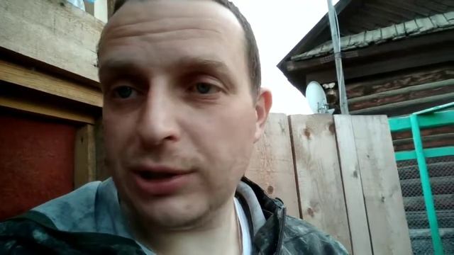 Сортируем перепелок.Как определить пол у перепелок? смотреть онлайн