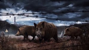 [Часть 3/4] Эволюция Хакайна. Шаг 3 (Николай Грошев) [S.T.A.L.K.E.R.]