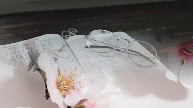 Almond Trees and Their Significance in the Bible смотреть онлайн