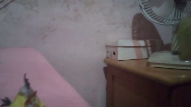 angry birds mega aventuras: t1 ep 15: trailer смотреть онлайн