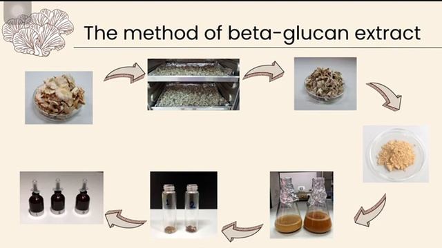 The extraction of beta glucan from Schizophyllum commune смотреть онлайн