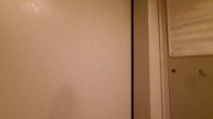 Я застрял в лифте! Лифт МЛМ 2003 года выпуска + чайный гриб в подъезде.