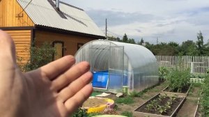 Отзыв о бассейне в теплице