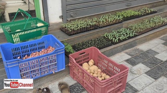 100% organic vegetable and Hybrid vegetable seedlings in Kochi ,BUY 100% original organic products смотреть онлайн