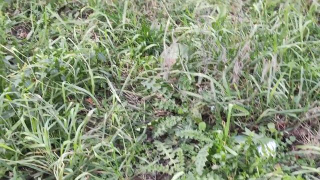 Севастополь зимой январь - 2021 смотреть онлайн