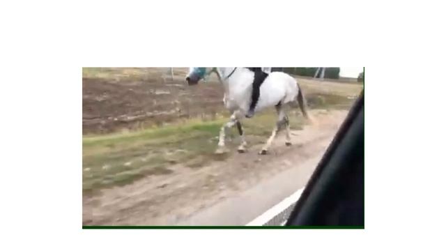 Клуб любителей детективного жанра "Бейкер стрит 221Б, на Берзарина, 6" Заседание 2 смотреть онлайн