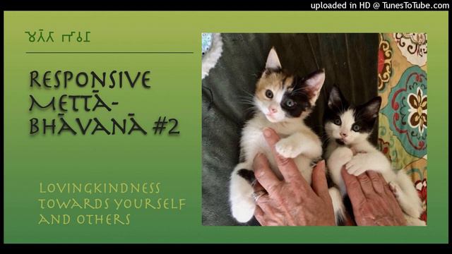 Metta Bhavana II — Towards Yourself … +TB