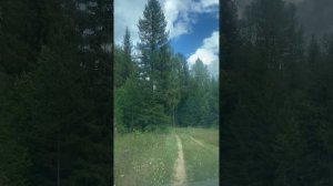 Заставить украинцев вернуться на Украину.