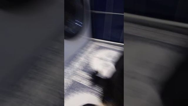 То время которые я с собакой в туалете просто почистить зубы смотреть онлайн