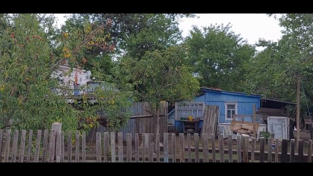 Спутниковая антенна с облучателем пробьёт листву или интернет на полустанке смотреть онлайн